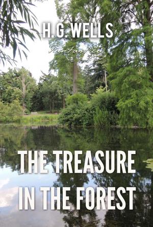 Book cover of The Treasure In The Forest