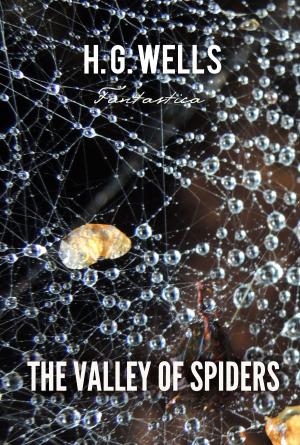 Book cover of The Valley of Spiders