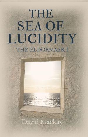 Cover of the book The Sea of Lucidity by Paul Jones