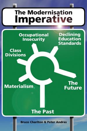 Cover of the book The Modernization Imperative by Chris Cowlin