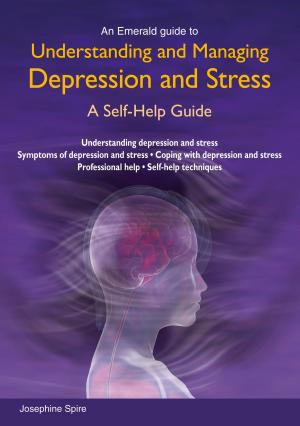bigCover of the book Understanding And Managing Depression And Stress by 