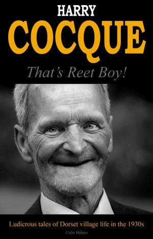 Cover of the book Harry Cocque by Arkay Jones