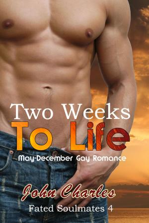Book cover of Two Weeks To Life (Fated Soulmates 4)
