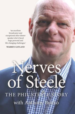 Cover of the book Nerves of Steele by Natasha Leite de Moura