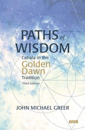 Cover of the book Paths of Wisdom by Nigel Pennick