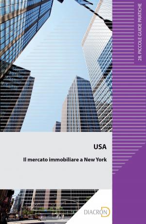 bigCover of the book USA. Il mercato immobiliare a New York by 