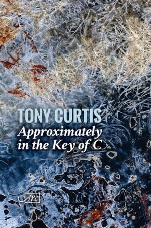 Cover of the book Approximately in the Key of C by Wioletta Greg