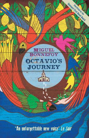 Cover of the book Octavio's Journey by Jean-François Parot