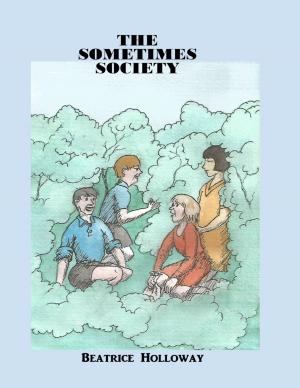Cover of the book The Sometimes Society by RJ Whitfield