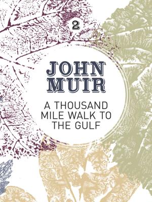 Cover of the book A Thousand-Mile Walk to the Gulf by Alastair Borthwick