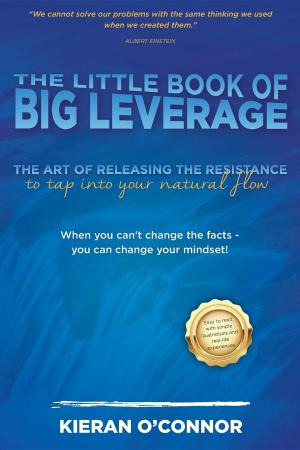 Cover of the book The Little Book of Big Leverage by Talita Ferreira