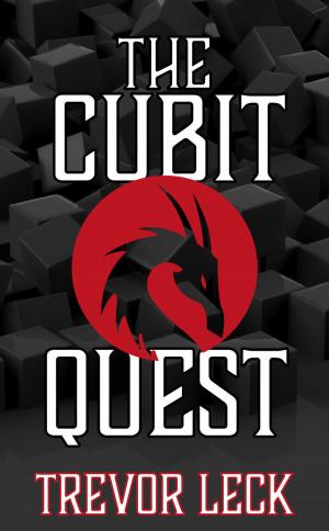 Cover of the book The Cubit Quest by Elaine Madle