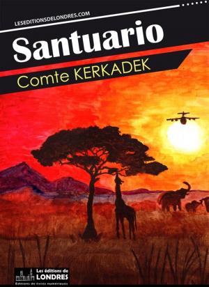 Cover of the book Santuario by Maurice Leblanc