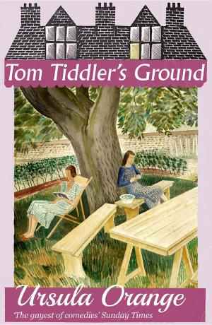 Cover of Tom Tiddler's Ground
