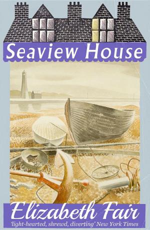 Book cover of Seaview House