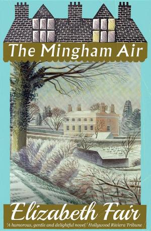Cover of the book The Mingham Air by Rupert Heath