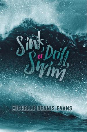 bigCover of the book Sink, Drift, or Swim by 