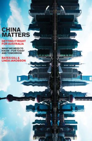Cover of the book China Matters by Mungo MacCallum