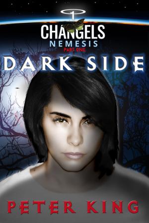 Book cover of Dark Side