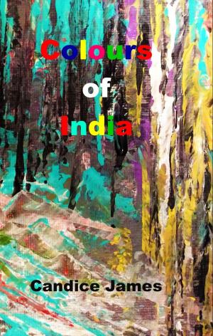 Cover of the book Colours of India by Ibrahim Honjo