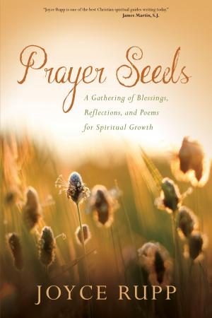 Book cover of Prayer Seeds