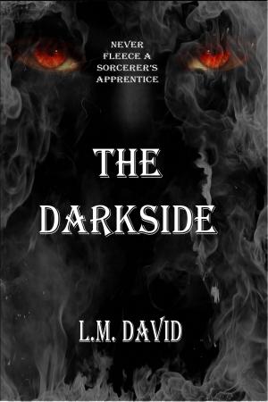 bigCover of the book The Darkside by 