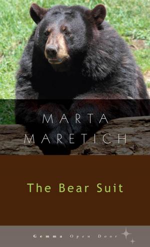 Cover of the book The Bear Suit by Suzanne Kamata