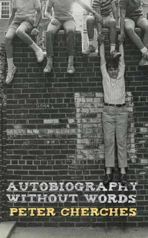 Cover of the book Autobiography Without Words by L. A. Davenport