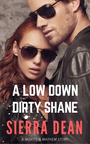 Cover of A Low Down Dirty Shane