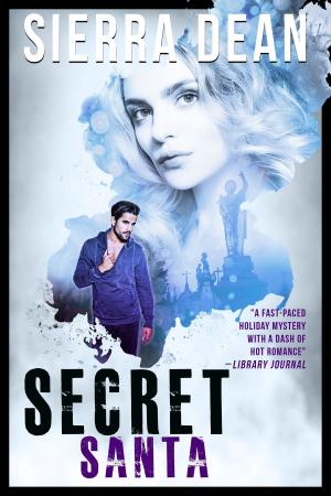 Cover of the book Secret Santa by Jay Mountney