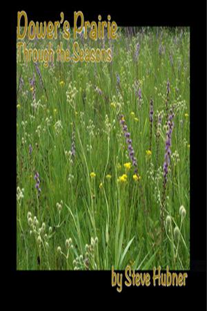 Cover of the book Dower's Prairie through the Seasons by Diana Louise Walstad