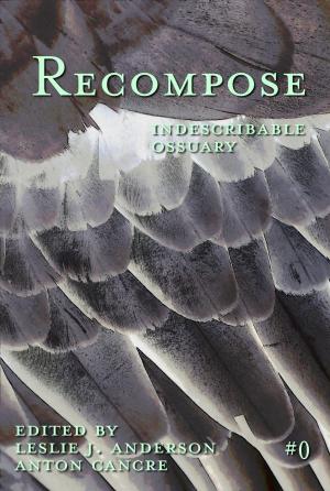 Cover of the book Indescribable Ossuary by Kelly Swails, Usman T. Malik, Sarah Hans, Chante McCoy, Patrick M. Tracy