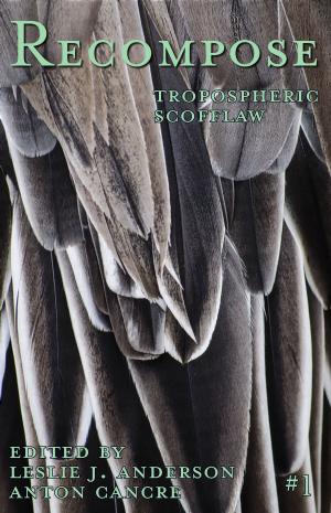Cover of the book Tropospheric Scofflaw by Erik Scott de Bie, Jason V Brock, Ryan Macklin, Marty Young, Rob Smales, Scott M. Goriscak, Lily Cohen-Moore, Gary Braunbeck