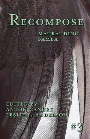 Cover of the book Maurauding Samba by Lucy Snyder, Alex Bledsoe, Maurice Broaddus, Jennifer Brozek, Sarah Hans, Ekaterina Sedia, Tim Waggoner, Damien Walters
