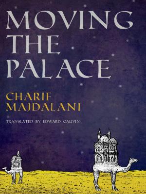 Cover of the book Moving the Palace by Tim Waggoner