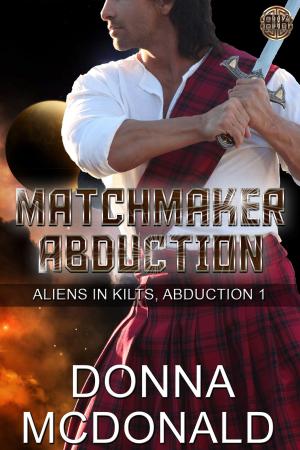 Book cover of Matchmaker Abduction