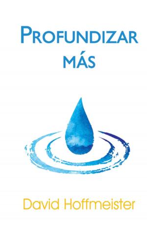 Book cover of Profundizar Más