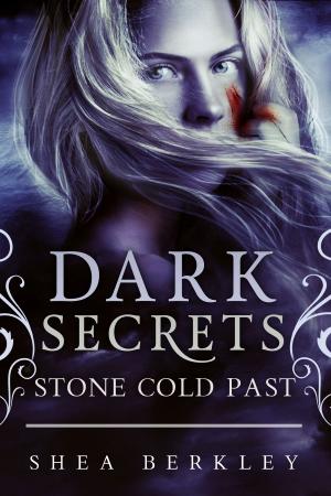 Cover of the book Dark Secrets: Stone Cold Past by Levi Shipley