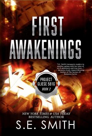 Cover of the book First Awakenings by S.E. Smith