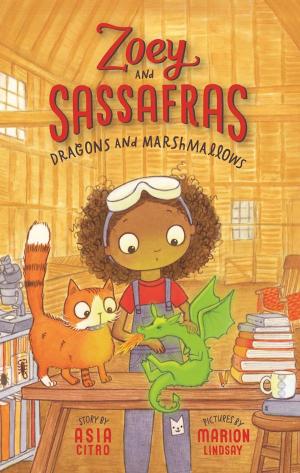 Cover of the book Dragons and Marshmallows by Scott Toney