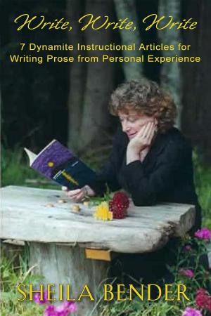 Book cover of Write, Write, Write