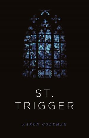 Cover of the book St. Trigger by Sierra DeMulder