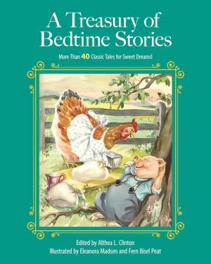 Cover of the book A Treasury of Bedtime Stories by Jarret Berenstein