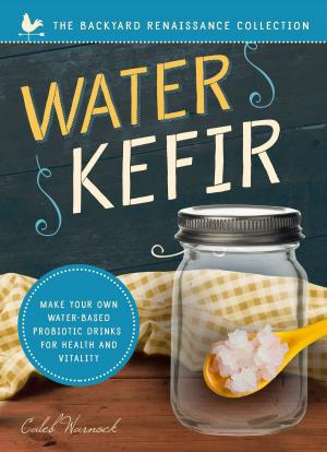 Cover of the book Water Kefir by Mary Potter Kenyon