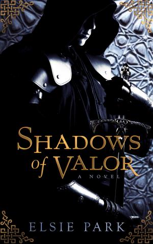 Cover of the book Shadows of Valor by Lucy Banks