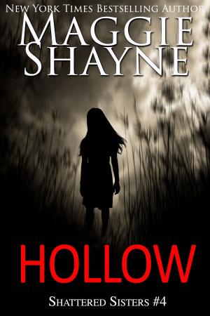 Cover of the book Hollow by Maggie Shayne