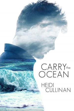 Cover of the book Carry the Ocean by Heidi Cullinan