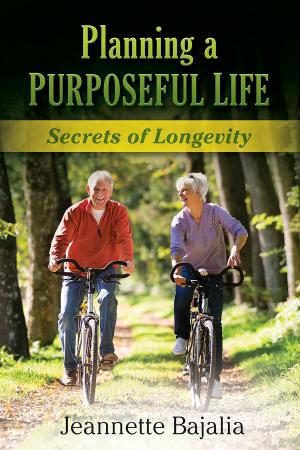 Cover of the book Planning a Purposeful Life by David Bressler