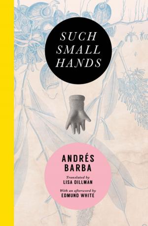 Book cover of Such Small Hands