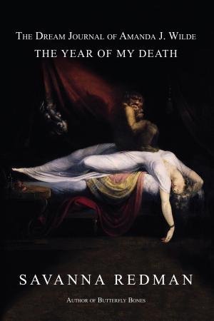 Cover of the book The Dream Journal of Amanda J. Wilde by Elvira Drake